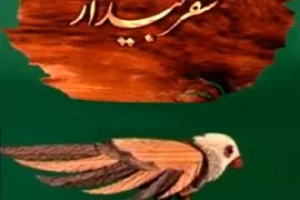 سفر بیداری