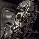 JUNK by Walter Tournier
