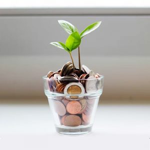 stop-motion-cost
