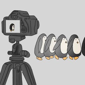 stop-motion-reel-shakhes