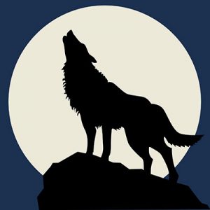 Silhouette animation